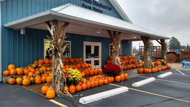 Bowerman Blueberries Farm Market