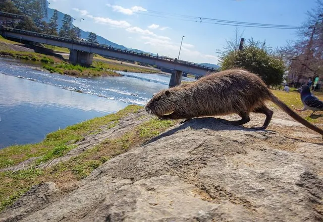 Hadanosougo Culture Park
