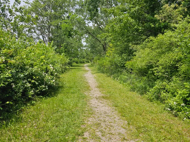 Indian Lake State Park: Crane Town Pew Island