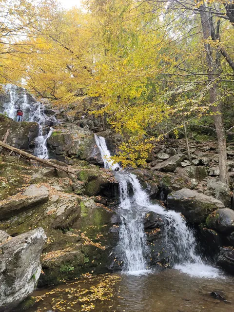 Dark Hollow Falls Trailhead