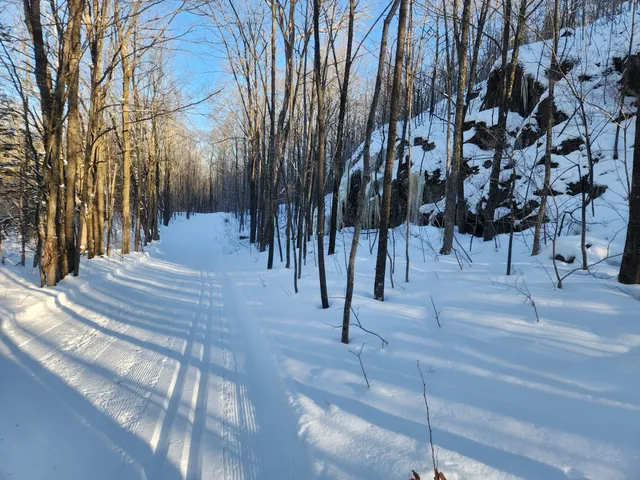 Wolverine Nordic Trails