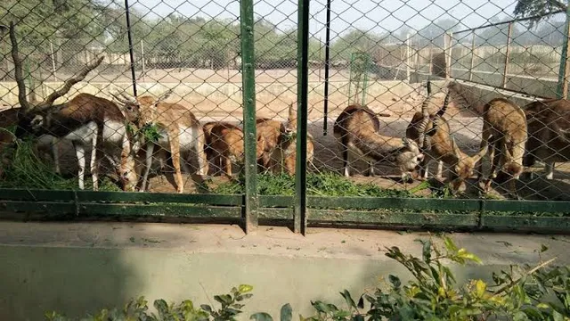 Kota Biological Park