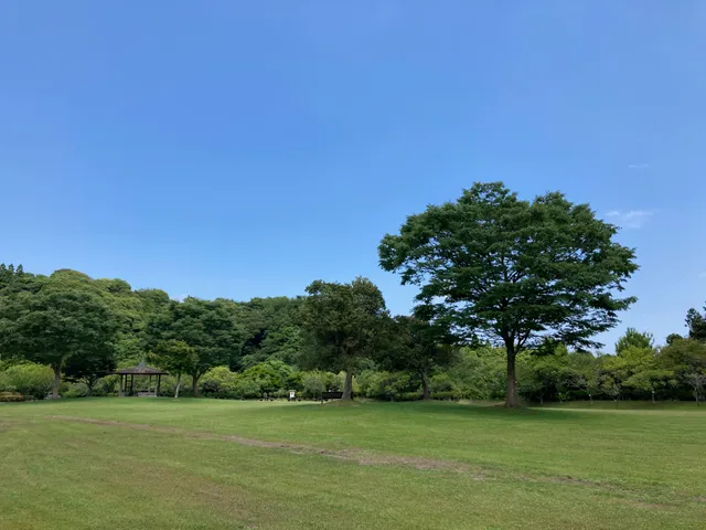 Chiba Prefectural Otaki Prefectural Forest