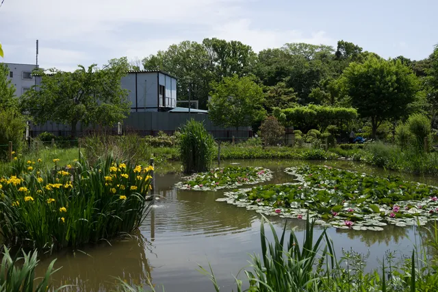 Ochiaigawasuisei Park