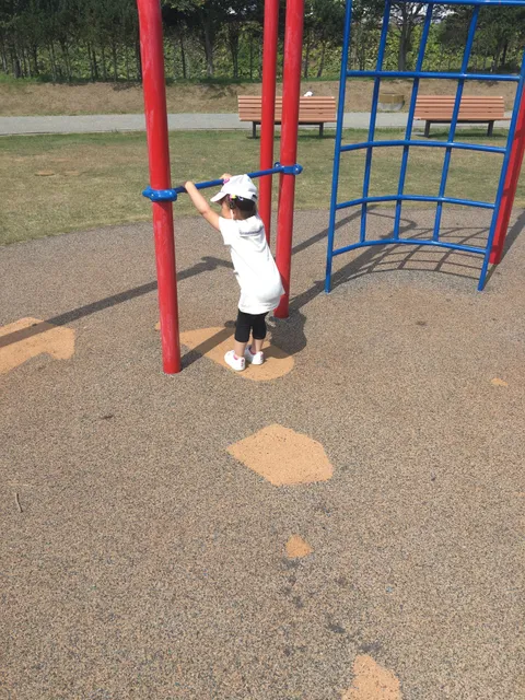 photo-1