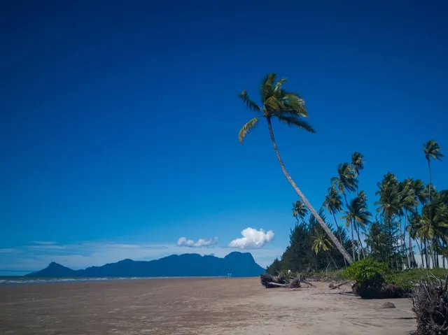 Golden Beach, Trombol