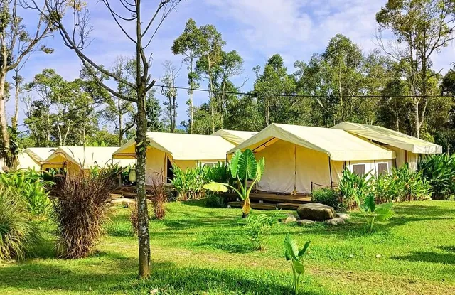 Canopy Villa Glamping Park
