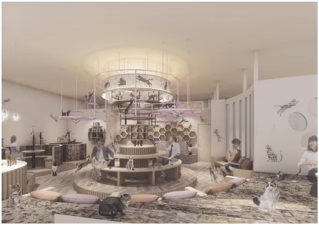 Cat Cafe Puchi Marry AEON MALL TSUKUBA