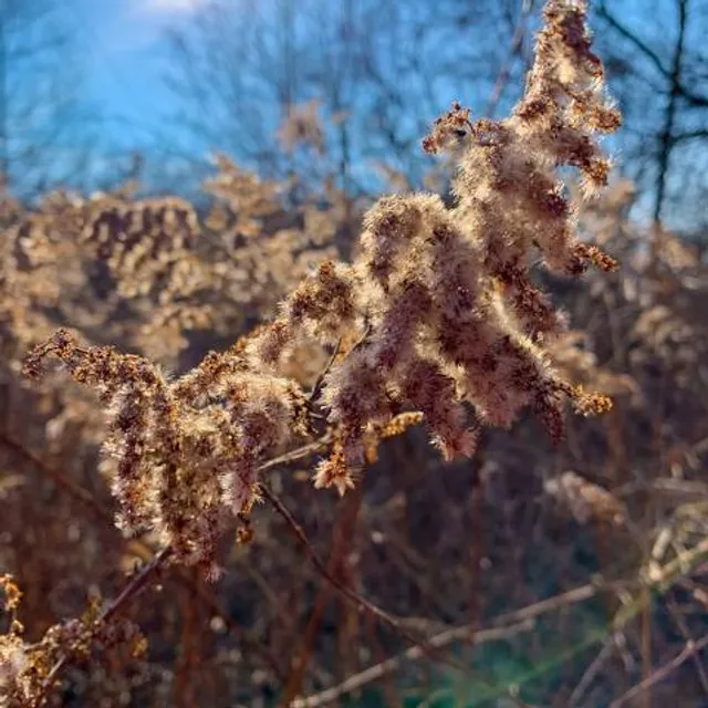 Scioto Grove Metro Park