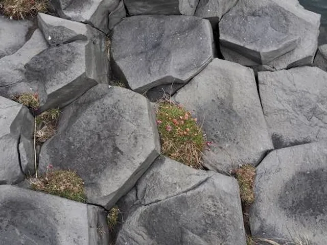 place image