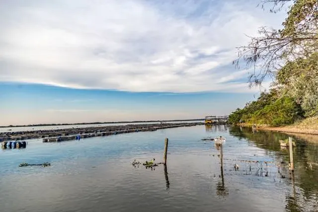 Clear Lake State Park
