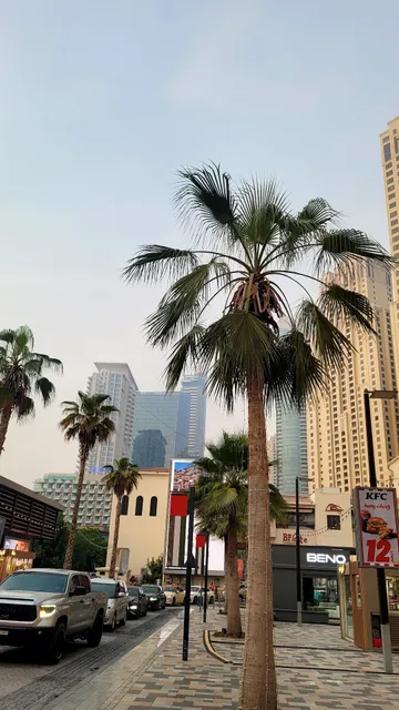 JBR • Jumeirah Beach Residence