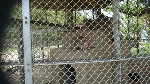 Ota Shimin Koen Daikanyama Zoo