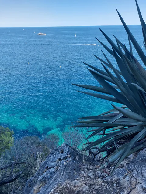 Criques du Cap Estel