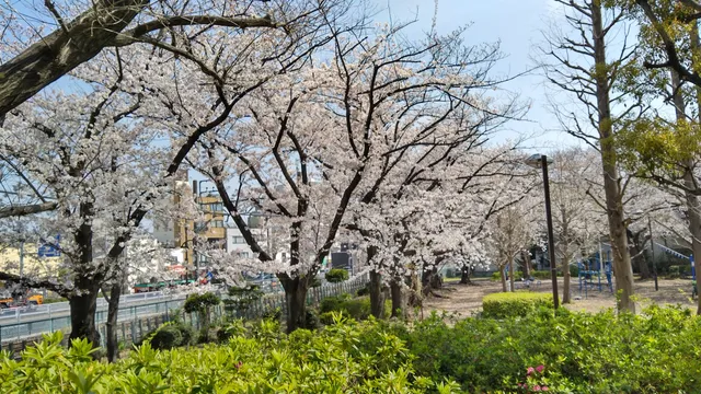 Higashiazuma Park