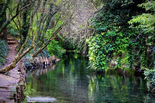 Parco della Risorgiva Fossa Bova