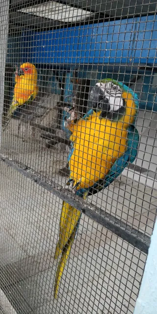 Nirmal Ganga Agro Tourism