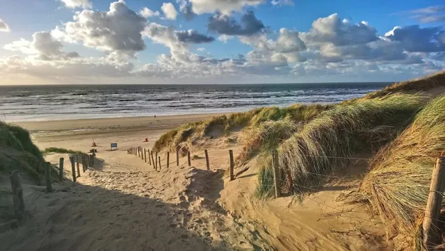 Strand van Bloemendaal