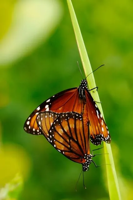 Florida Oceanographic Coastal Center