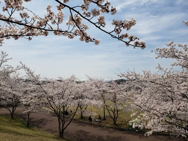 Nishikigaoka Central Park