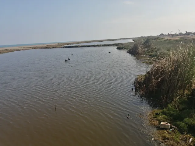 MUELLE FISCAL DE PISCO