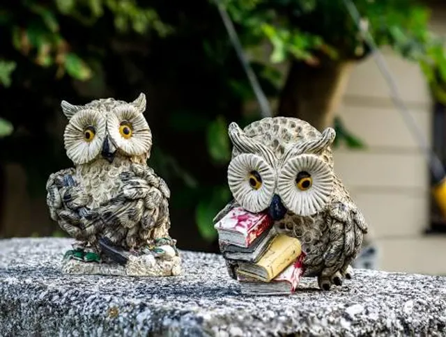 Owl's Rest - Olive and Lavender Farm