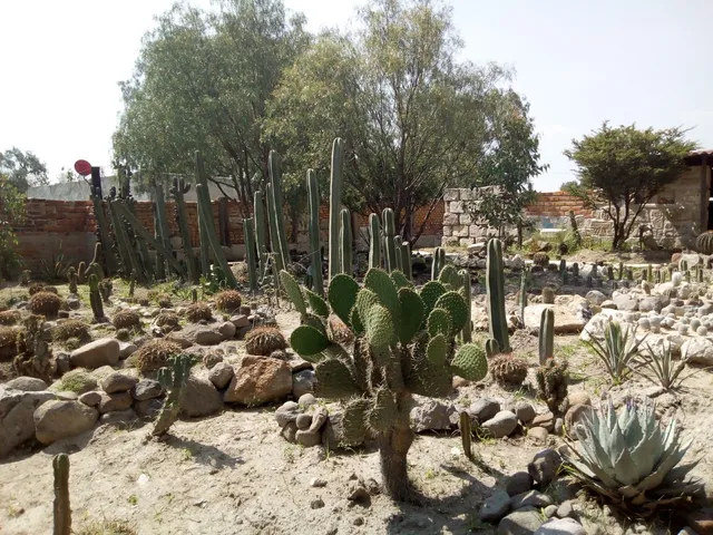 Museo Arqueológico de Coyotepec Ehecalli