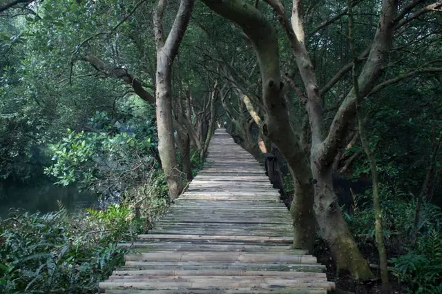 Mangrove Ecotourism Centre PIK