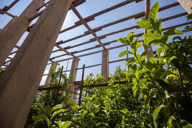 Limonaia Pra de la Fam