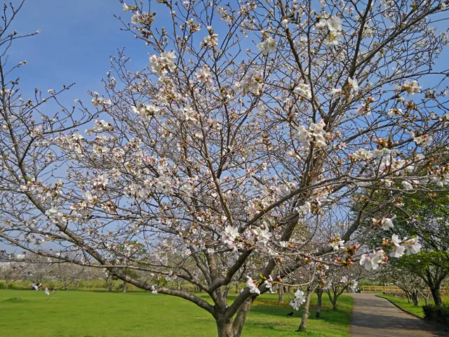 Amorigawafurusatonokawa Kasen Park