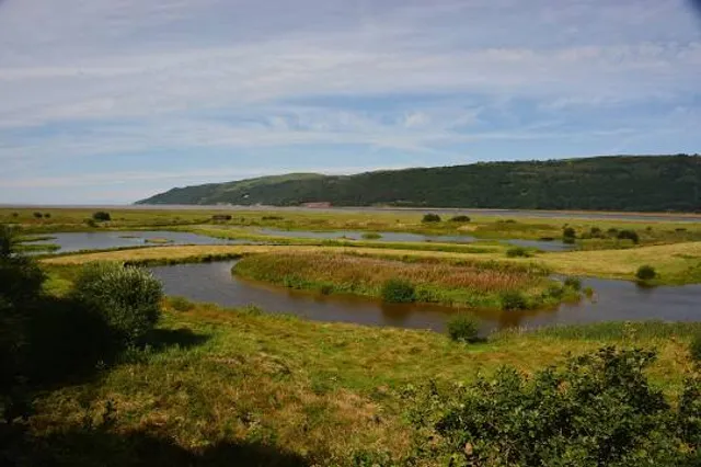 RSPB Ynys-hir
