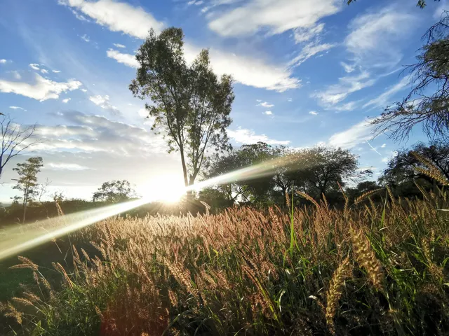 Parque Los Eucaliptos