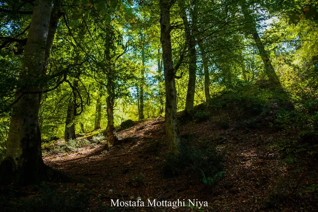 دهستان دوهزار