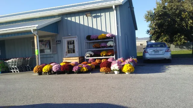 Mount Pleasant Township