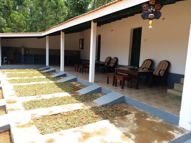 Back To Nest Homestay