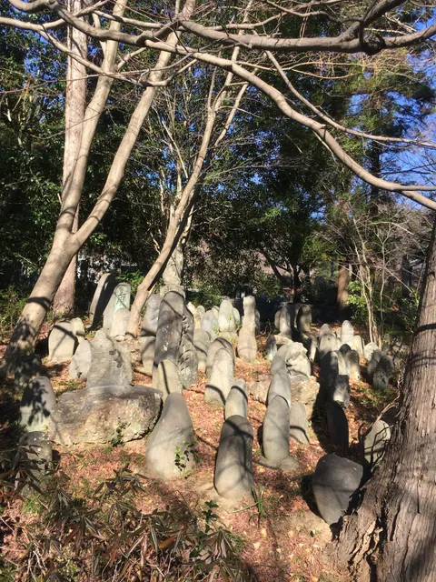 photo-1