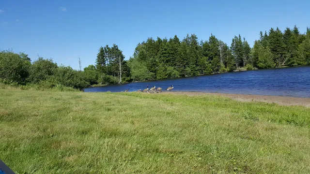 Little River Reservoir Park