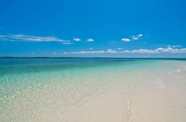 The Safari Blue, Zanzibar
