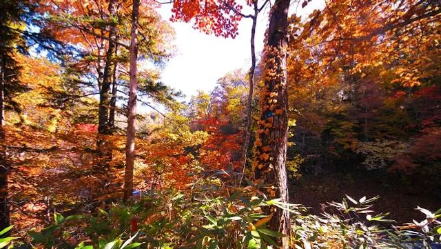 Märchengarten "Paradies"