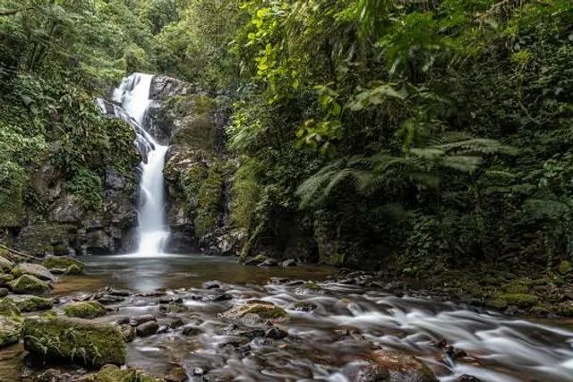 Cachoeira do Chá