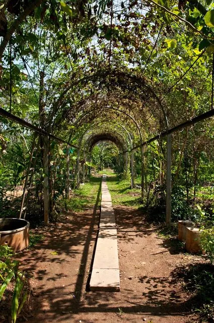Puente del Sector las Flores