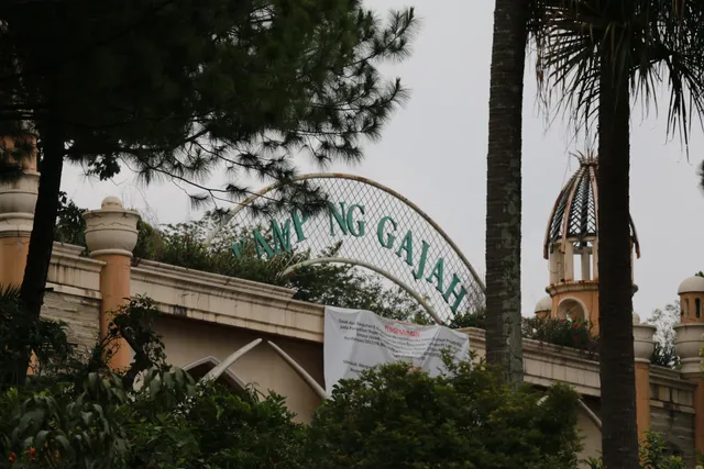 Wisata bunga cihideung