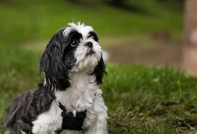 Hall Of Waters Visitor Center