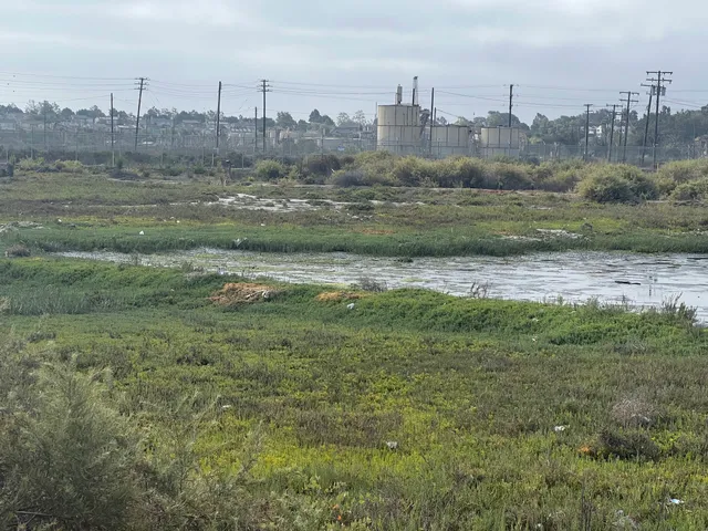 Los Cerritos Wetlands