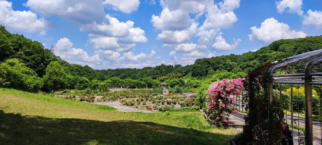 オールドローズガーデン（ぎふワールド・ローズガーデン）