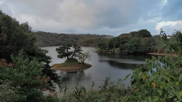 Tanega Pond