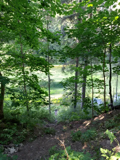 Лопухинское сельское поселение