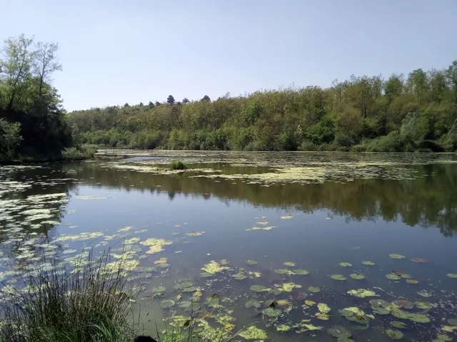 Castelfranco di Sotto