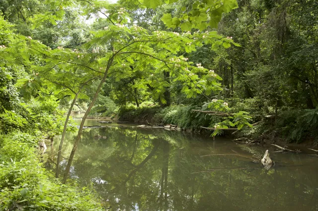 Ray’s Meadow Local Park