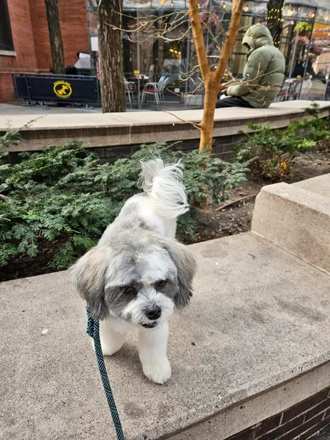 Central Park Pet Spa